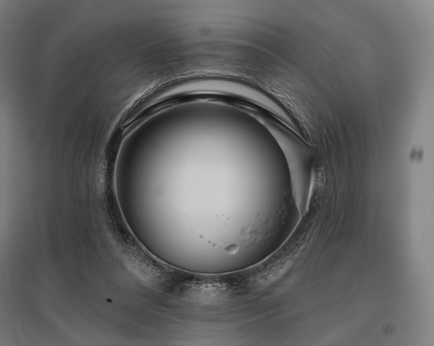 X0000096150304200801181208