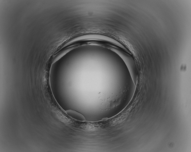 X0000096150305200801181208