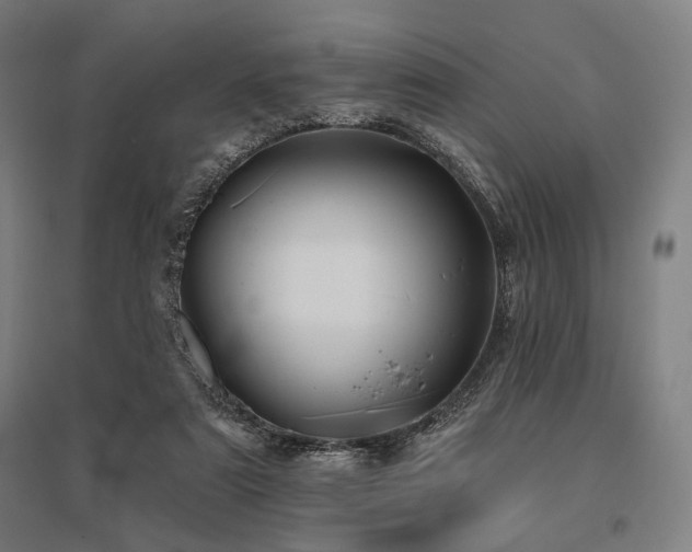 X0000096150307200801181208