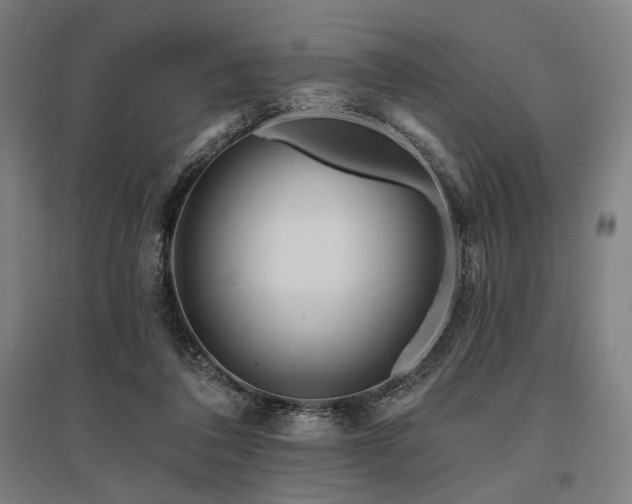 X0000096150308200801181208