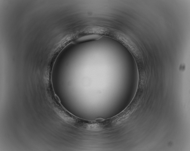 X0000096150309200801181208