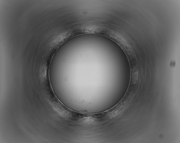 X0000096150310200801181208