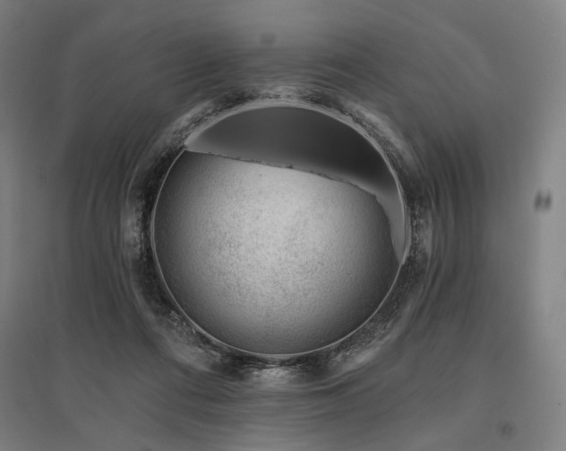 X0000096150312200801181208