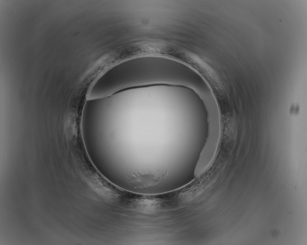X0000096150313200801181208