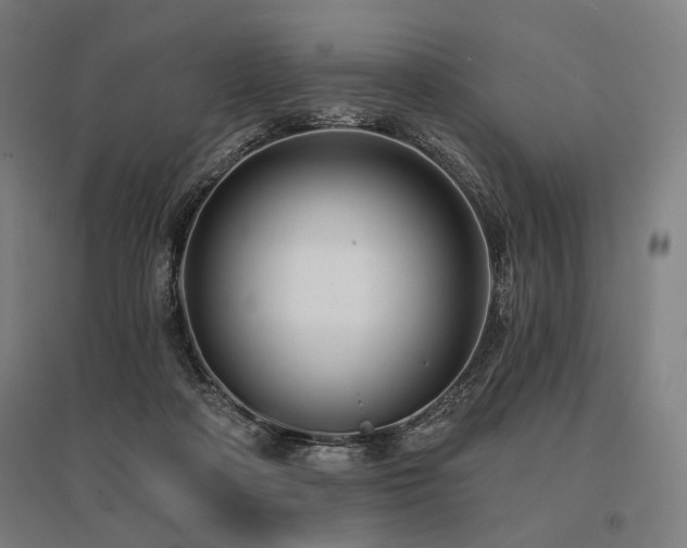 X0000096150314200801181208