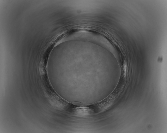 X0000096150316200801181208