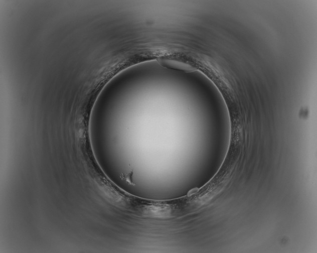 X0000096150317200801181208