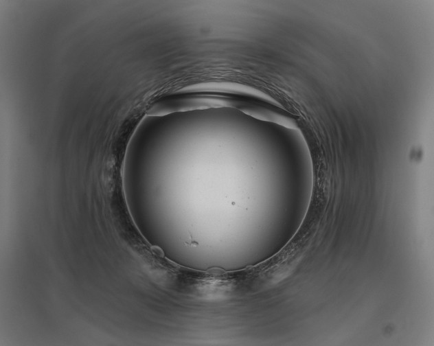 X0000096150319200801181208