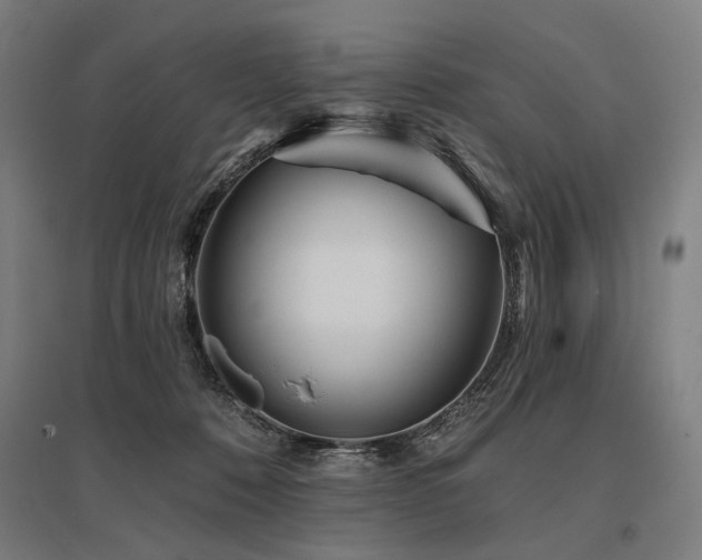 X0000096150320200801181208