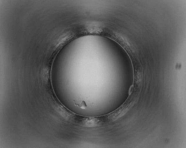 X0000096150321200801181208