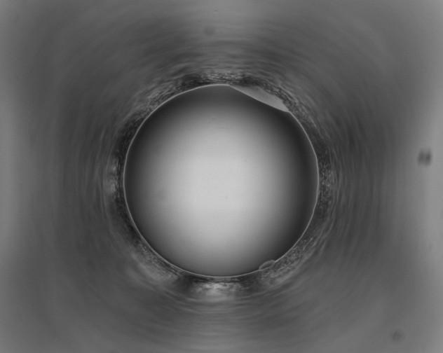 X0000096150323200801181208