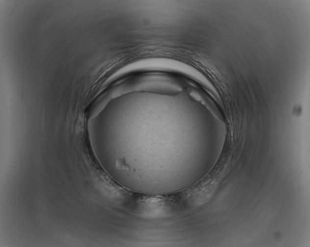 X0000096150325200801181208