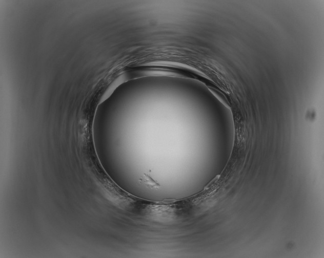 X0000096150327200801181208
