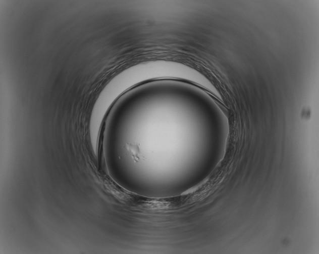 X0000096150328200801181208