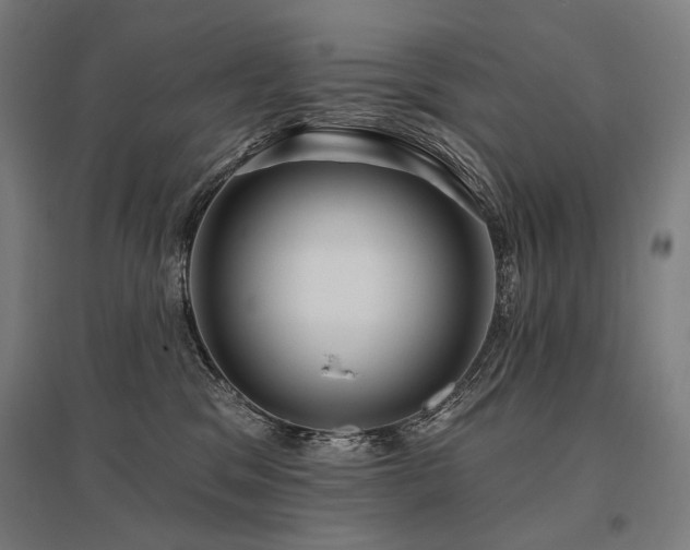 X0000096150329200801181208