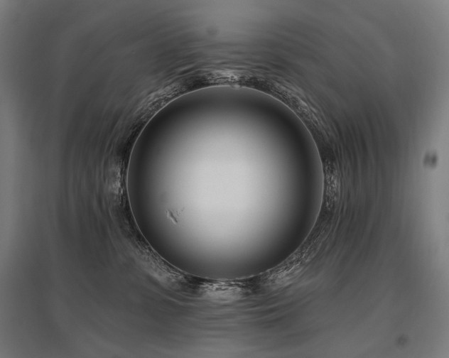 X0000096150331200801181208