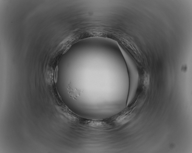 X0000096150332200801181208
