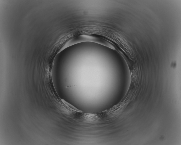 X0000096150333200801181208
