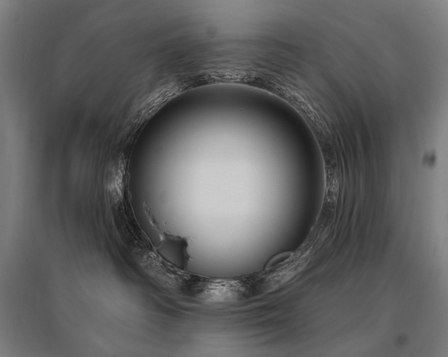 X0000096150334200801181208