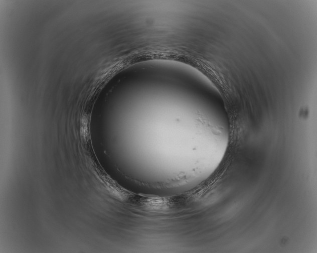 X0000096150335200801181208