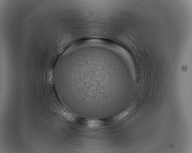 X0000096150336200801181208