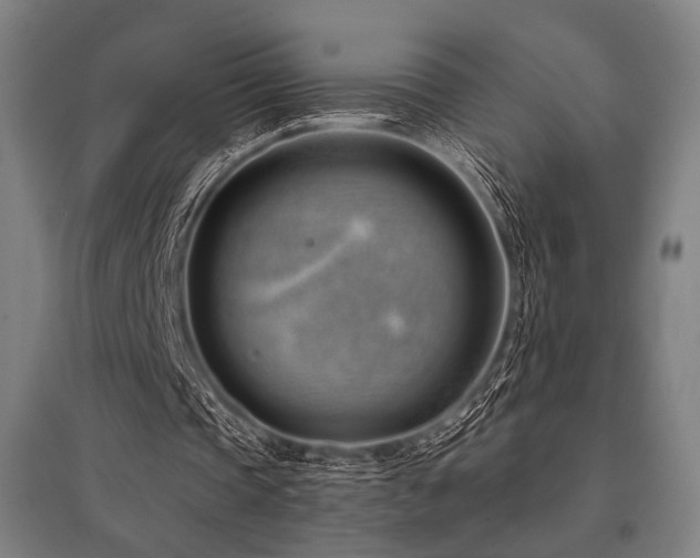 X0000096150337200801181207