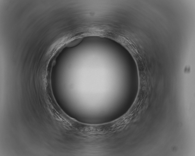 X0000096150338200801181207