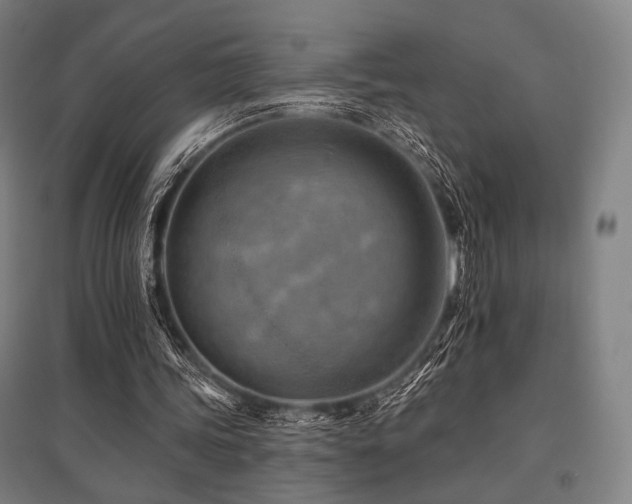 X0000096150339200801181207