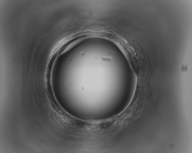 X0000096150340200801181207