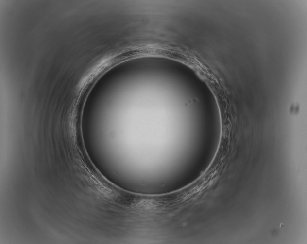 X0000096150341200801181207