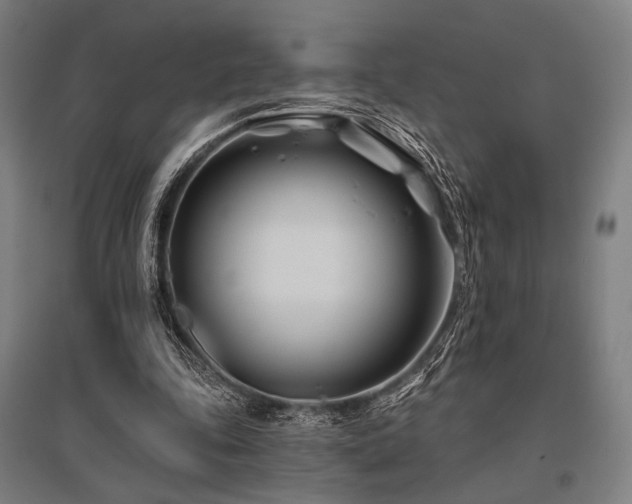 X0000096150343200801181207