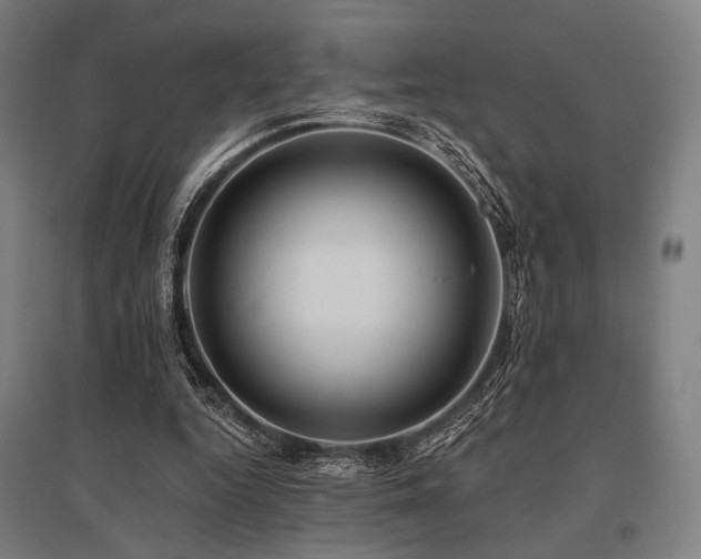 X0000096150344200801181207
