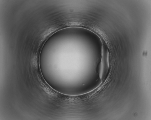 X0000096150345200801181207