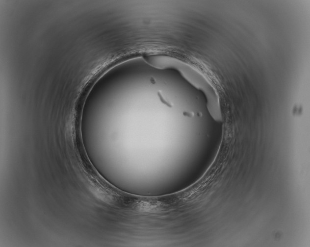 X0000096150346200801181207