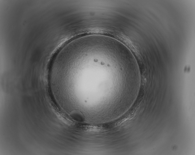X0000096150347200801181207