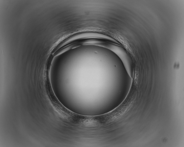 X0000096150348200801181207