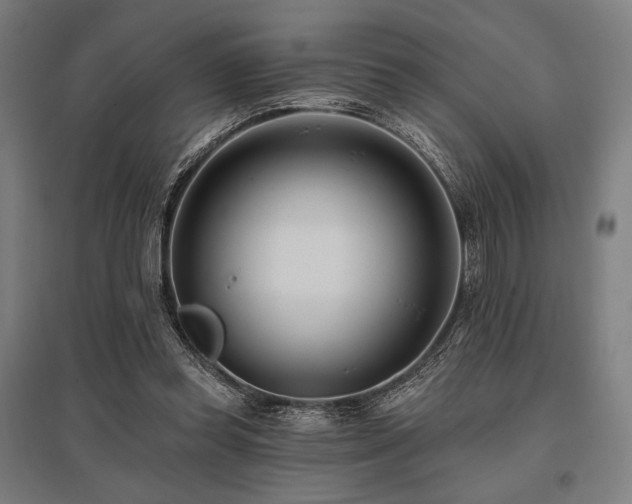 X0000096150349200801181207