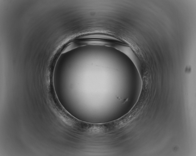 X0000096150350200801181207