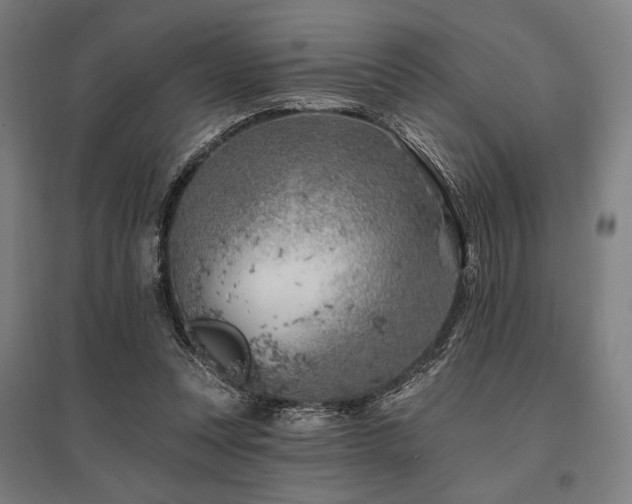 X0000096150351200801181207