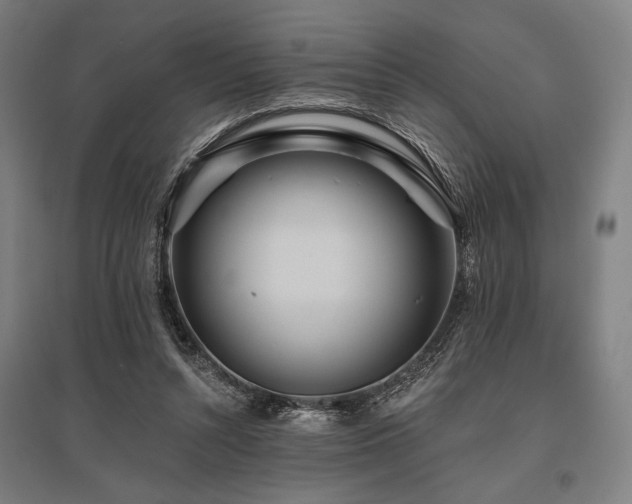 X0000096150352200801181207
