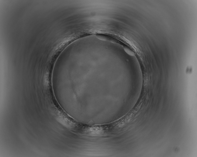 X0000096150353200801181207