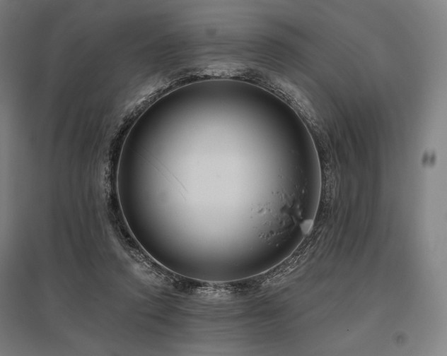 X0000096150354200801181207