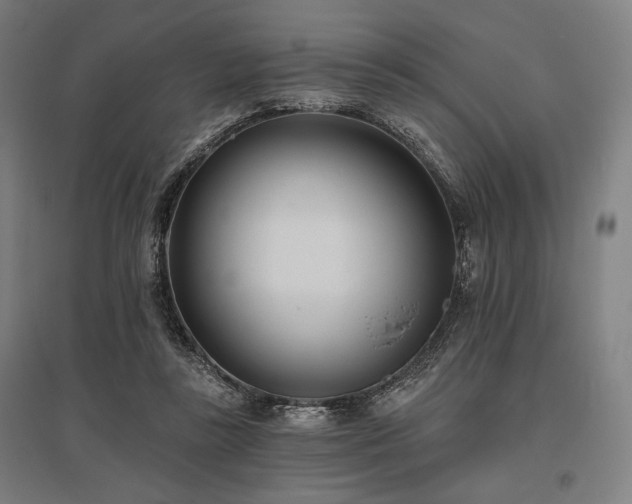 X0000096150355200801181207