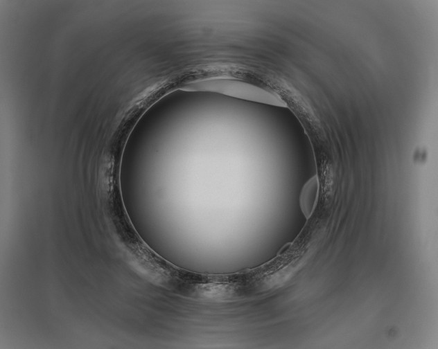 X0000096150356200801181207