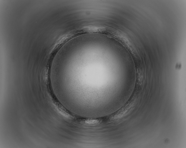 X0000096150357200801181207