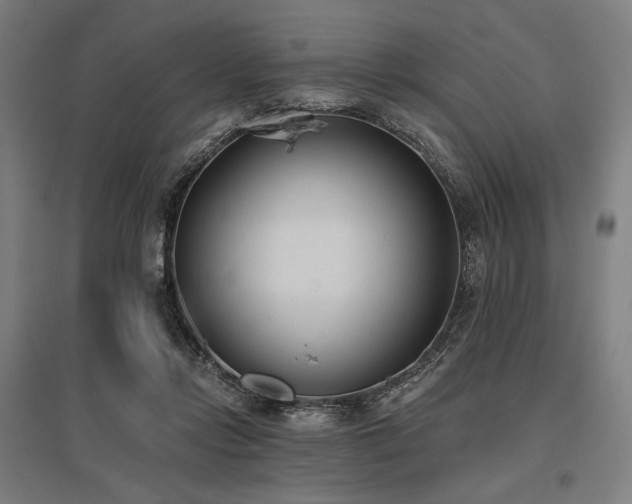 X0000096150358200801181207