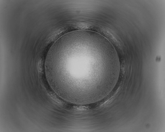 X0000096150359200801181207
