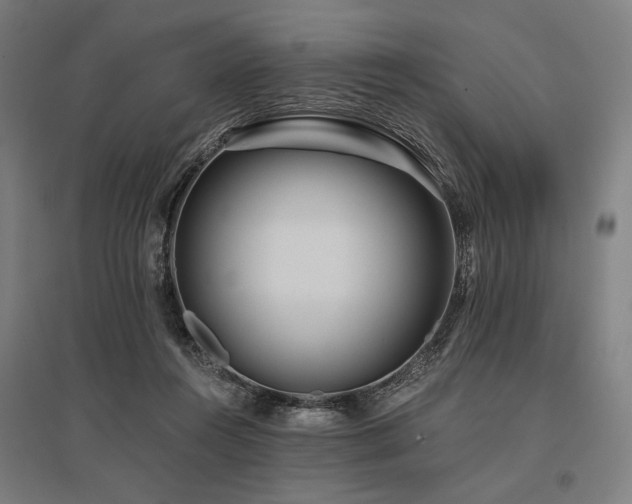 X0000096150360200801181207