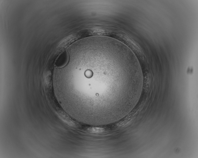 X0000096150361200801181207
