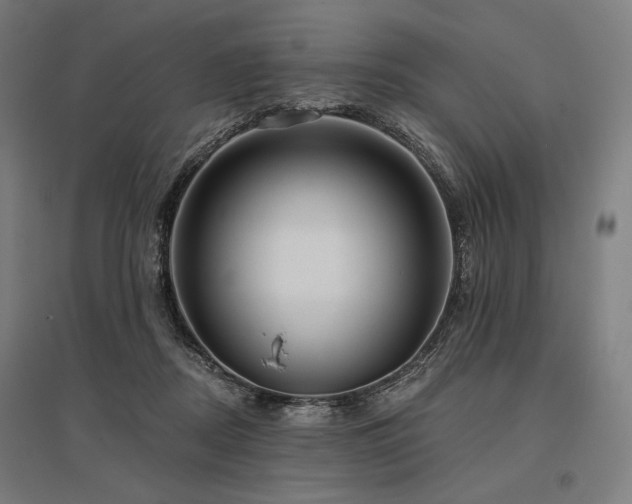 X0000096150362200801181207